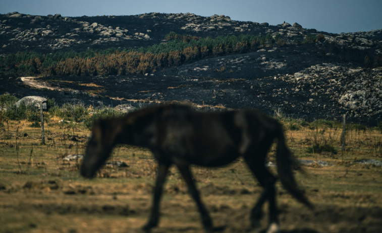Controlado el incendio forestal del Parque Natural das Fragas do Eume