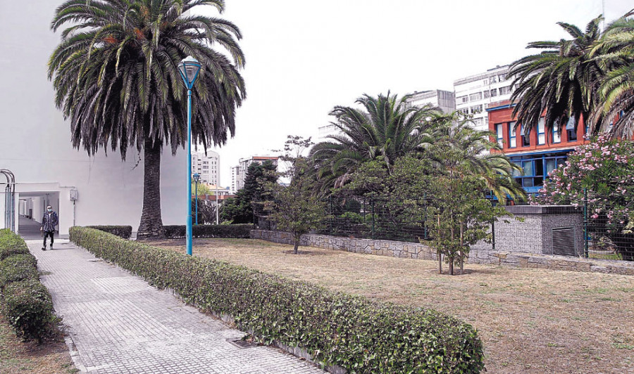 El Ayuntamiento actúa justo a tiempo para evitar la poda popular del Barrio de las Flores