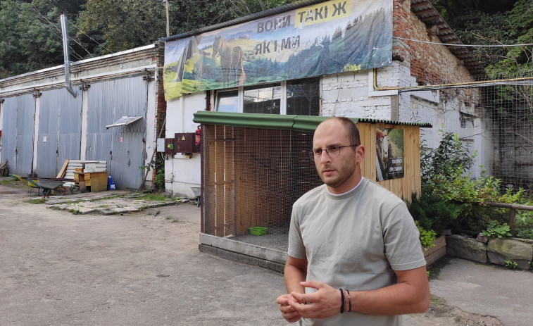 Un refugio en Leópolis acoge a los animales rescatados del frente ucraniano