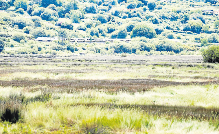 La Reserva de As Mariñas aboga por la implicación ciudadana para ‘ordenar’ la ría de Betanzos