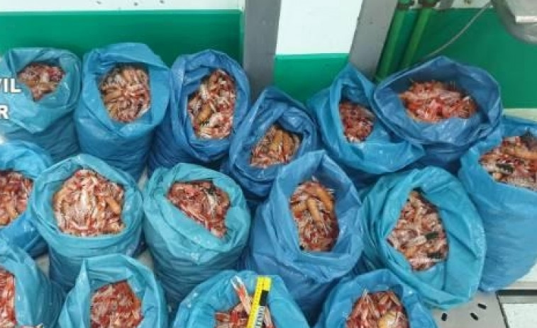 Requisados 78 kilos de marisco en una depuradora ilegal en Culleredo