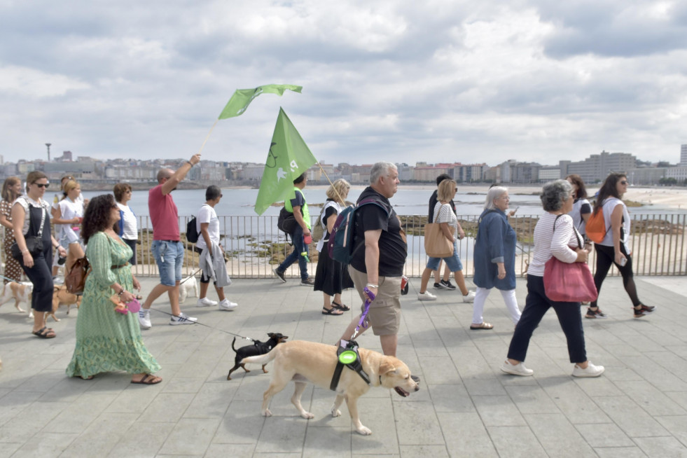 Animalistas piden ir a la playa con los perros @Javier Albores (7)