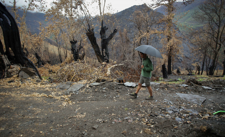 El incendio de Pantón, el único sin extinguir en Galicia tras los chubascos