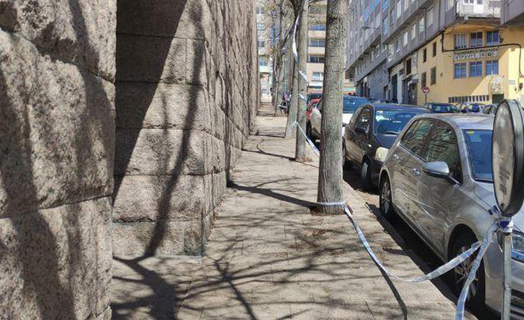 Descartan que la plaga de gusanos en los aledaños de la Domus sea de procesionarias