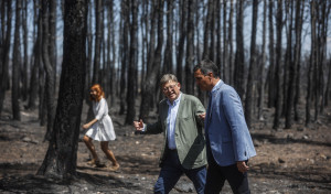 El Gobierno declarará como catastróficas las zonas de los grandes incendios