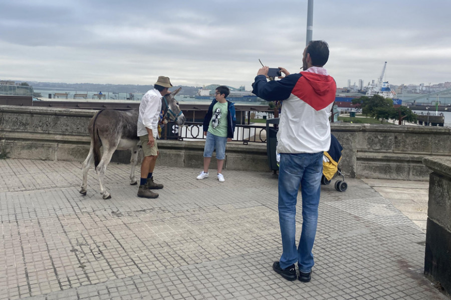 El peregrino más famoso del mundo y su burro visitan A Coruña