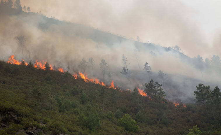 El incendio activo en el parque natural del Xurés afecta ya a 93 hectáreas