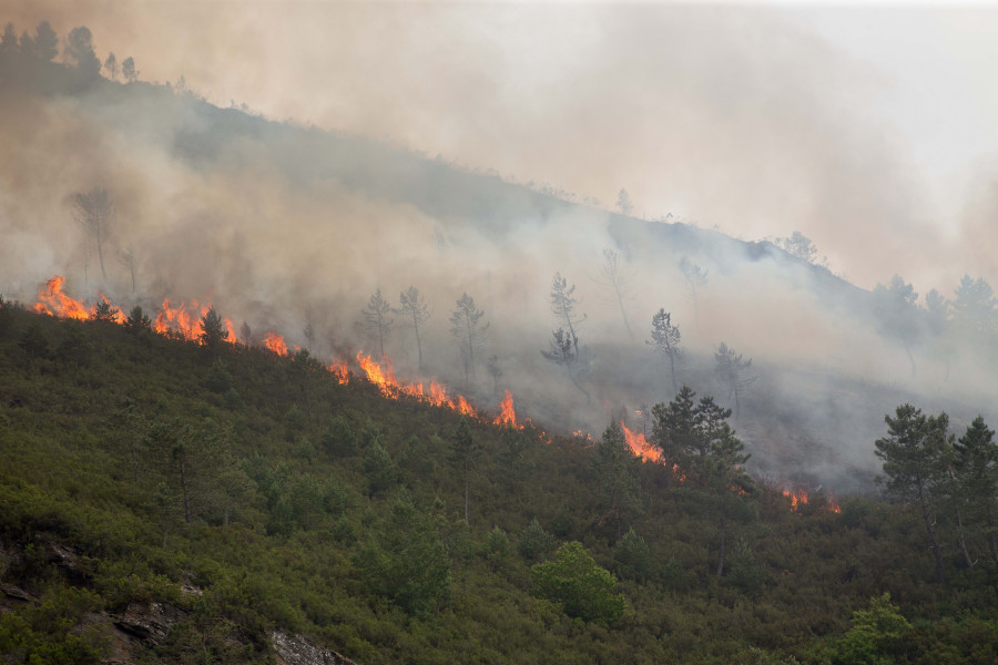 El incendio activo en el parque natural del Xurés afecta ya a 93 hectáreas