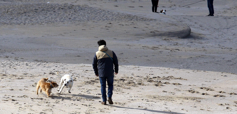 El PP presenta alegaciones a la ordenanza de playas para asegurar la accesibilidad y permitir mascotas