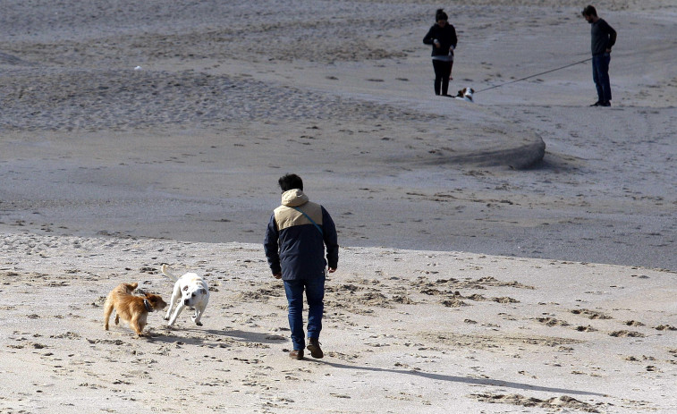 Las familias con perros lo tienen difícil en las casi 900 playas gallegas
