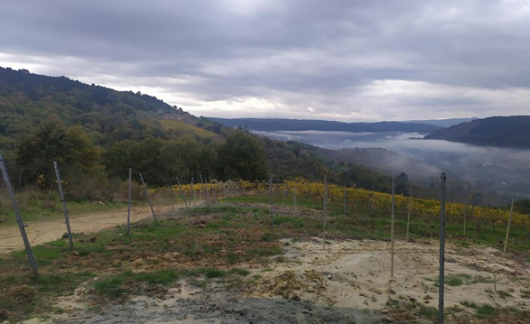 Pillan 'in fraganti' a una mujer por un monte con pastillas de encendido