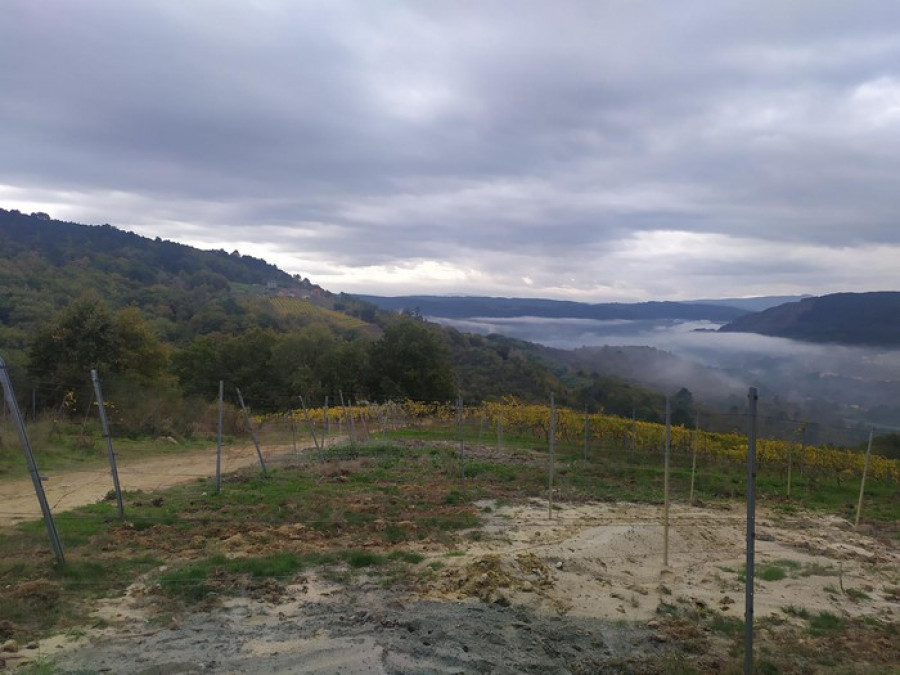 Pillan 'in fraganti' a una mujer por un monte con pastillas de encendido