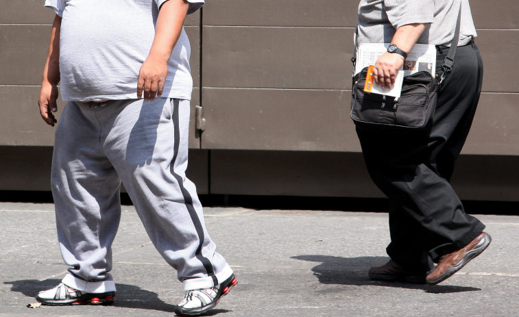 Investigadores identifican una línea de probióticos para tratar la obesidad y la diabetes de tipo dos