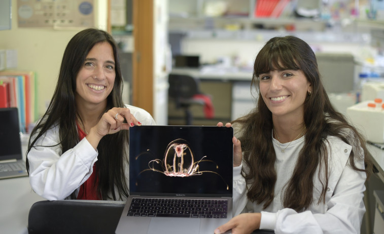 La Universidad de Oviedo identifica  el genoma de la inmortalidad
