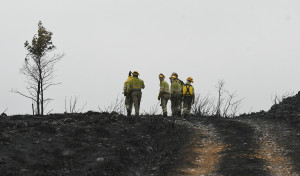 España sigue en riesgo alto de incendio tras casi 300.000 hectáreas quemadas