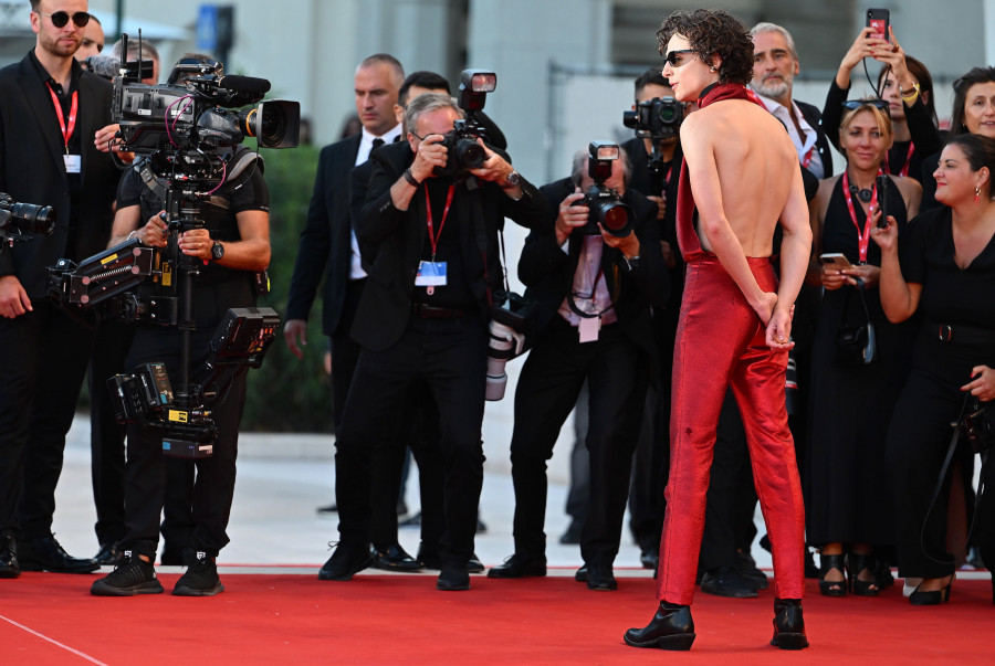 Timothée Chalamet, un caníbal enamorado a la caza del León de Oro