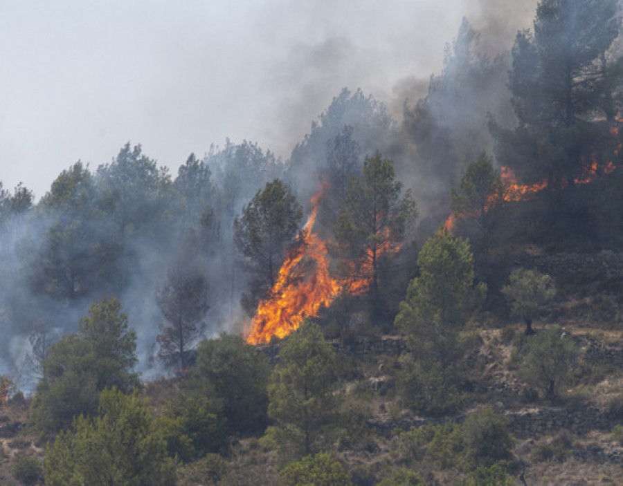 Detienen al presunto autor de dos incendios forestales en A Pobra