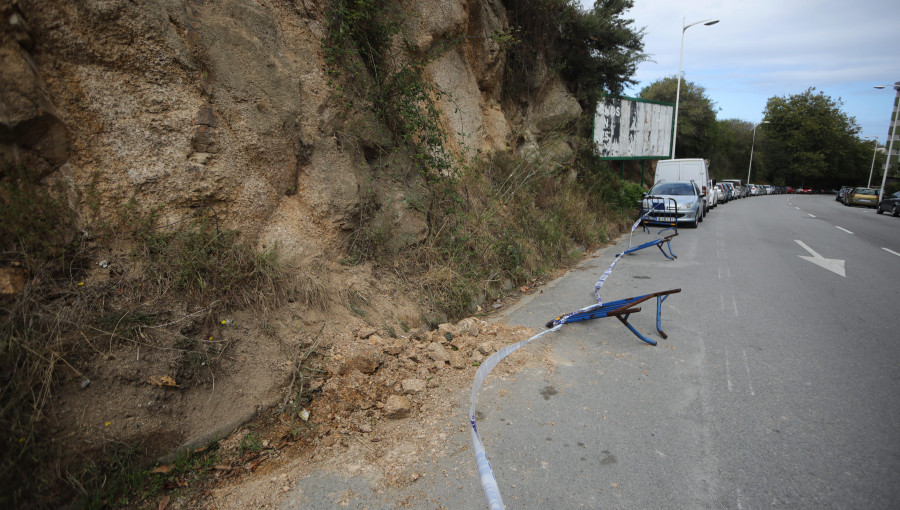 Aumenta la preocupación después de las últimas caídas de árboles en A Coruña