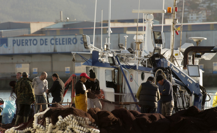 El sector pesquero pide una reunión urgente con Sánchez para bajar el IVA