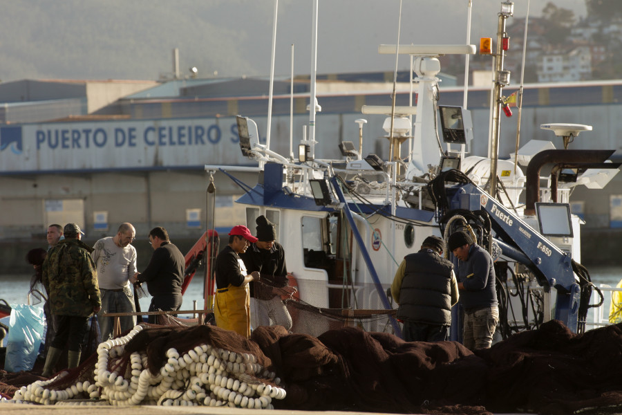 El sector pesquero pide una reunión urgente con Sánchez para bajar el IVA