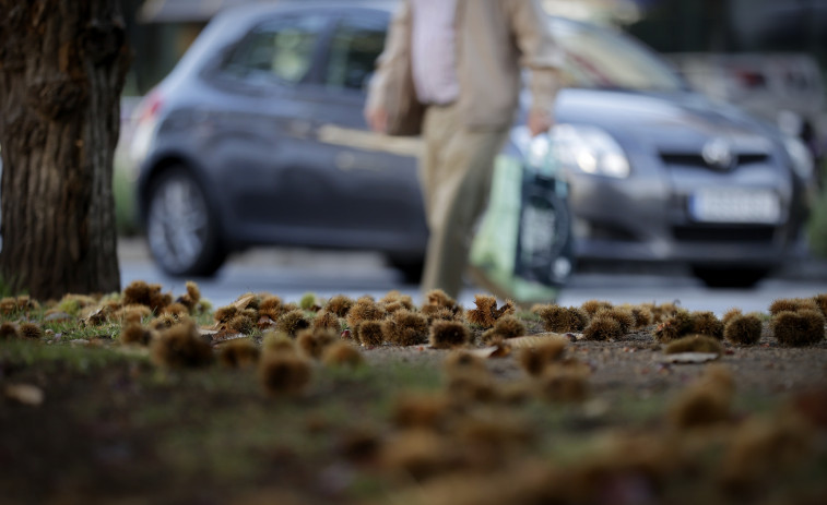 Galicia afronta un otoño similar al verano, cálido y seco