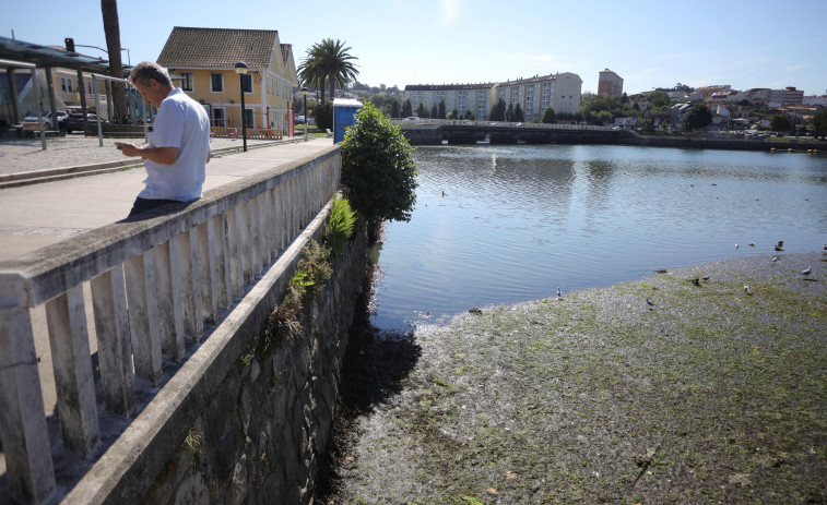 La Guardia Civil denuncia ante Augas de Galicia un vertido de pintura a la ría do Burgo