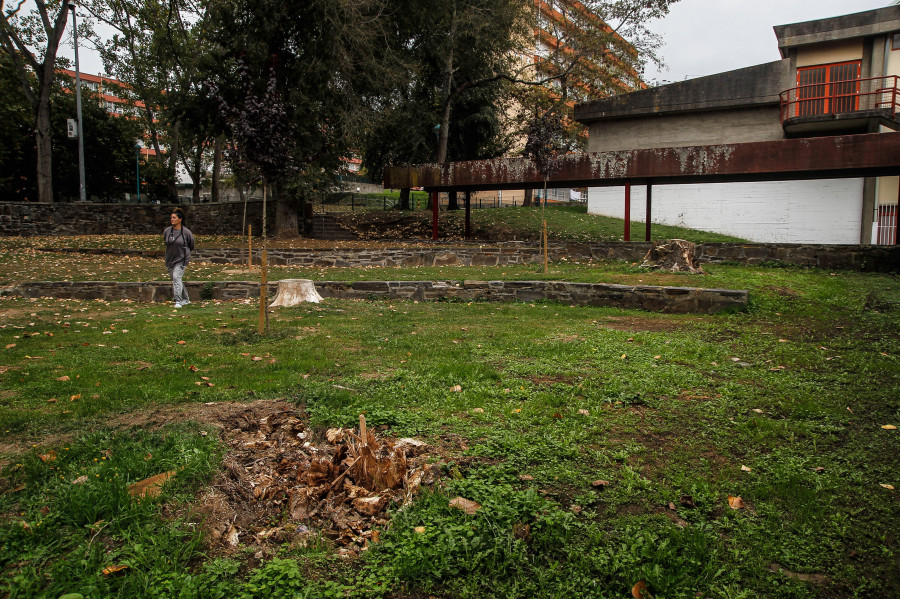 El escaño ciudadano servirá como altavoz para el Barrio de las Flores