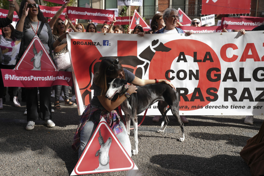 Animalistas protestan contra la "infame" enmienda del PSOE que excluye a perros de caza de la ley de bienestar animal