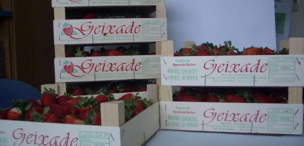 Frutas Geixade, la historia de dos hermanos que crecieron entre campos de fresas