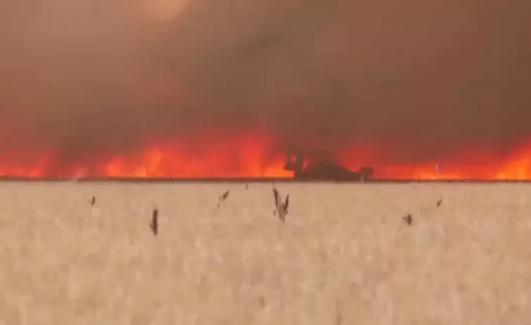 Muere el vecino de Tábara atrapado por las llamas cuando intentaba apagar el incendio