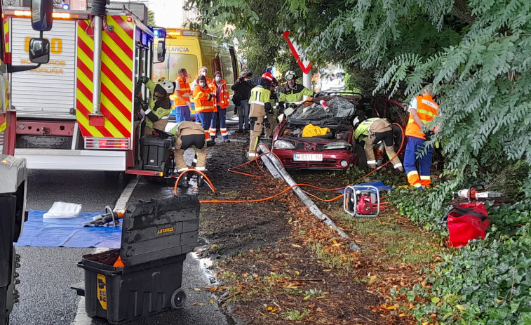 Los bomberos rescatan a un conductor que se salió de la vía en Alfonso Molina