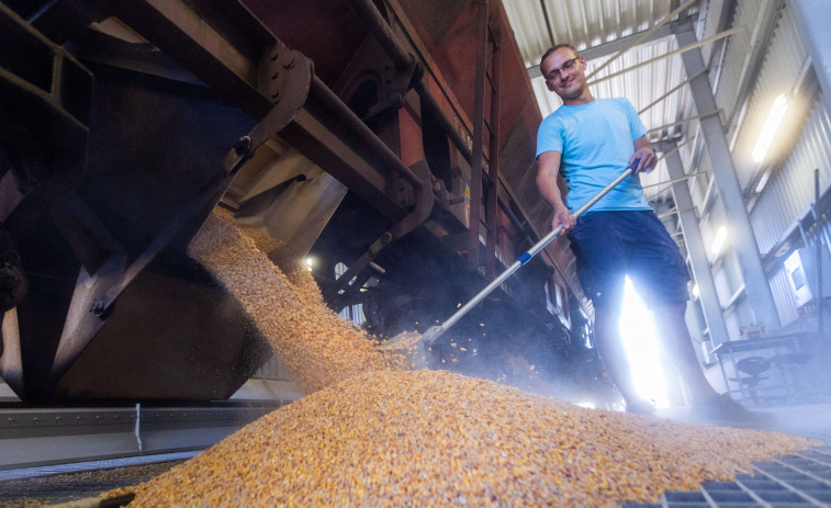 Rusia reactiva el pacto para exportar cereales de Ucrania tras recibir garantías
