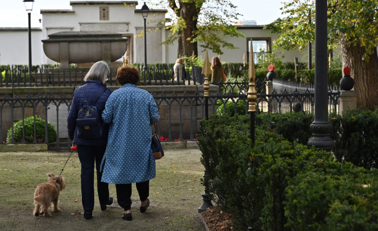 El jardín de San Carlos ya está abierto al público