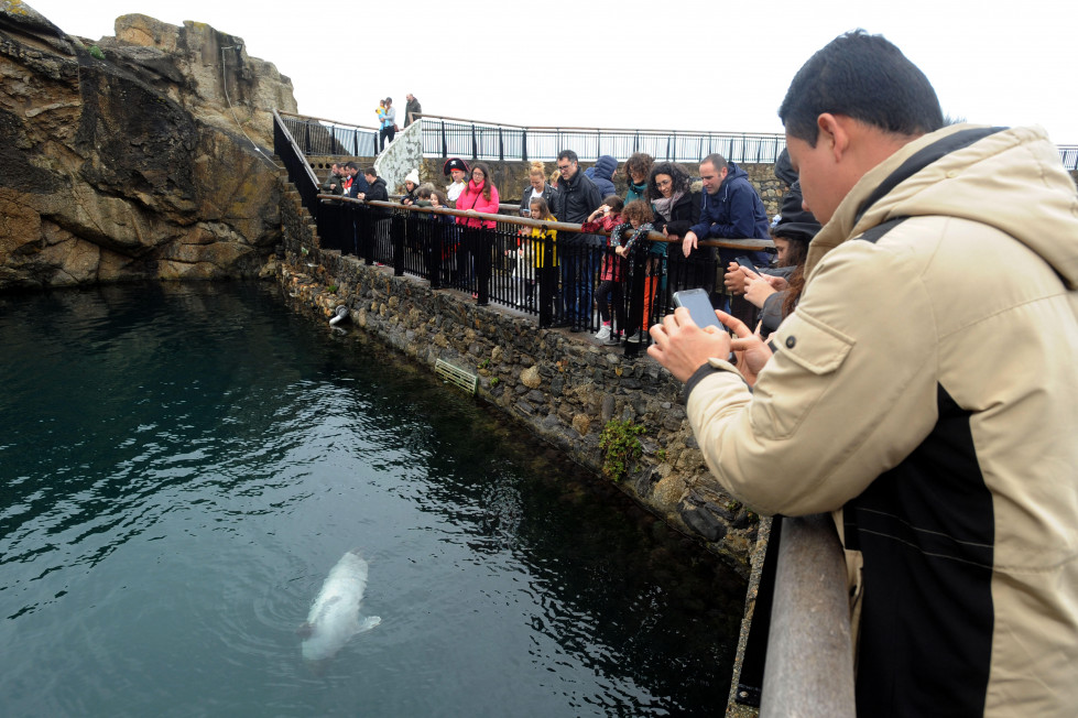 Aquarium finisterrae