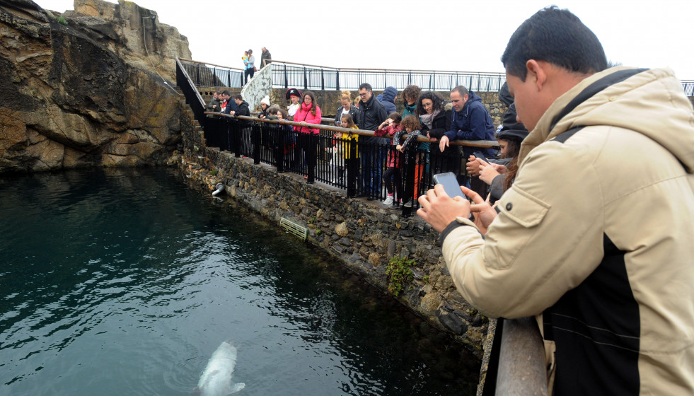 Aquarium finisterrae