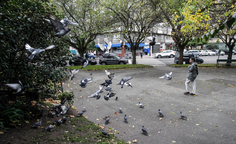 Los vecinos de O Ventorrillo, en A Coruña, piden que no se arroje comida a las calles