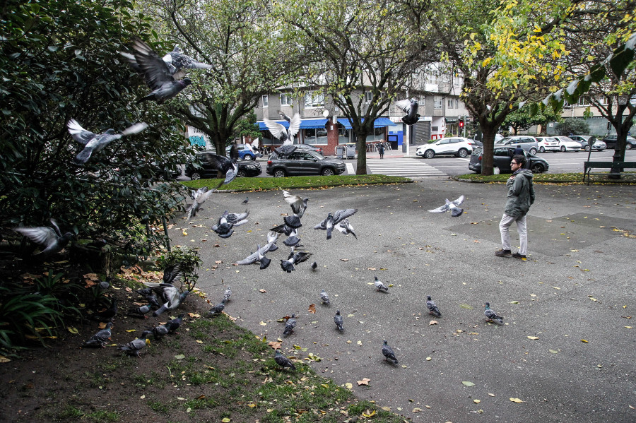 Los vecinos de O Ventorrillo, en A Coruña, piden que no se arroje comida a las calles