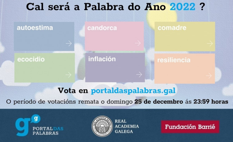 ‘Inflación’, ‘autoestima’, ‘comadre’ ou ‘ecocidio’ optan a ser Palabra do Ano 2022