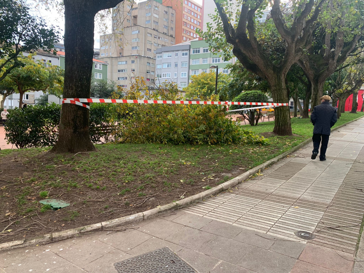 Rama San Rosendo