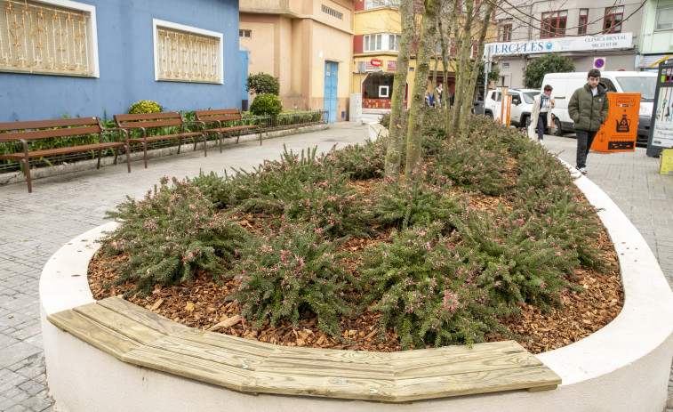 Añaden jardineras con árboles en la calle de La Torre y en la avenida de Hércules