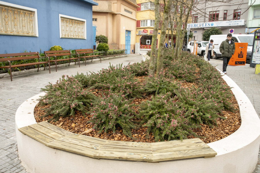 Añaden jardineras con árboles en la calle de La Torre y en la avenida de Hércules