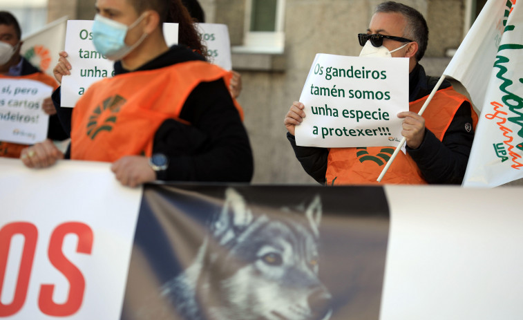 La Xunta abre el plazo para pedir ayudas para prevenir ataques de jabalíes y lobos