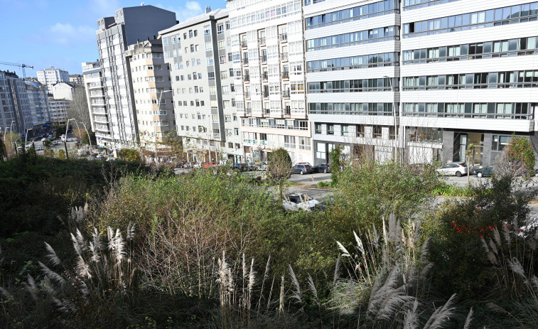 Piden construir una guardería en un solar junto al parque de Oza