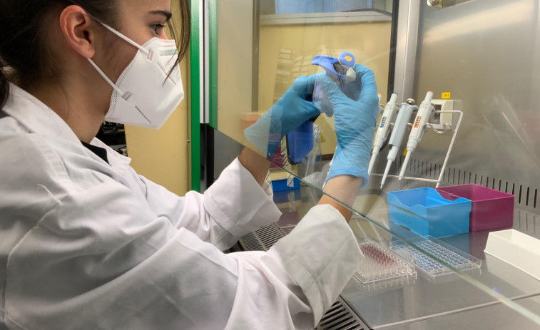 Investigadores gallegos reciben 1,8 millones para nuevas terapias contra el cáncer de páncreas