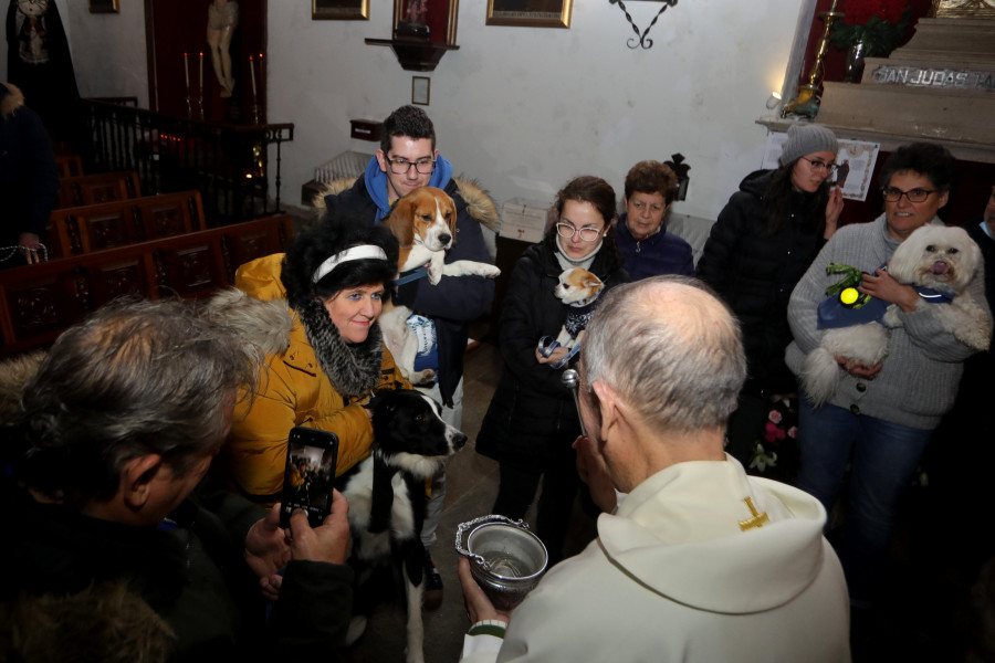 Reportaje | Bendiciones para todos los miembros de la familia en la Orden Tercera