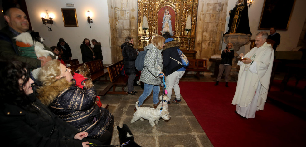 El San Antón se celebró en la Tercera Orden con la bendición de mascotas