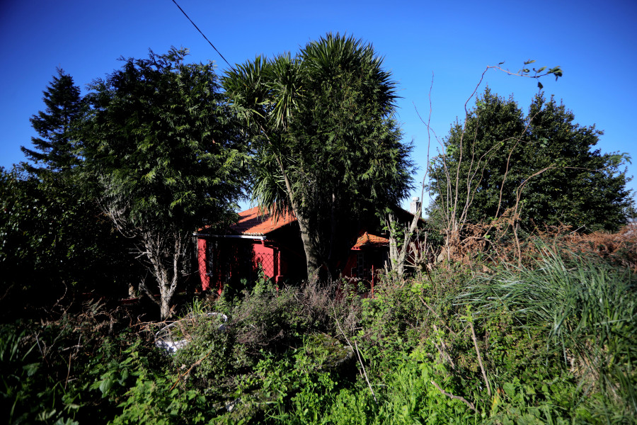 Los vecinos denuncian que en Eirís y Xuxán hay fincas con maleza que llevan años sin ser limpiadas