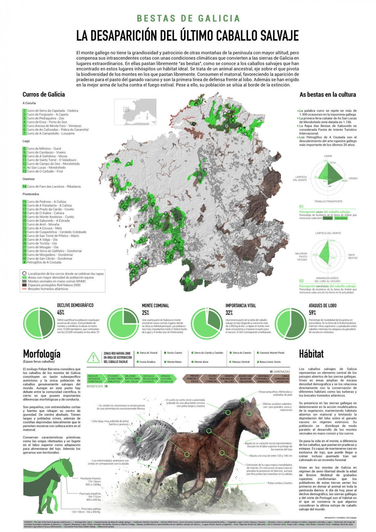 Caballo salvaje Galicia infografu00eda