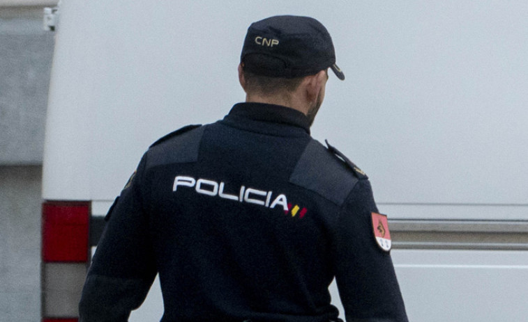 Detenido un hombre disfrazado de la Patrulla Canina por tocamientos a menores en San Froilán