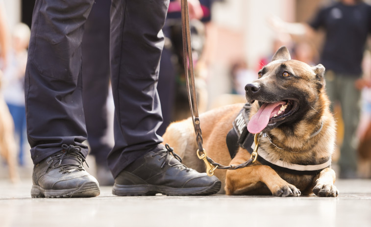 Teixeiro tendrá una unidad canina propia para evitar las drogas